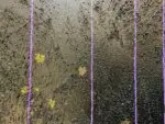 Un homme pense entre les étoiles