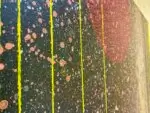 Une femme pense entre les étoiles