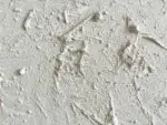 Ce que le vent emporte, ce que la terre garde